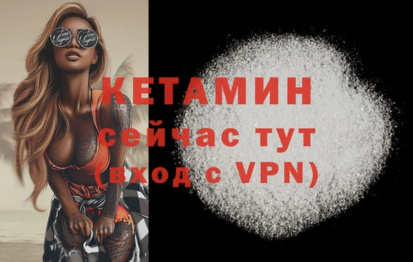 стафф Михайловск